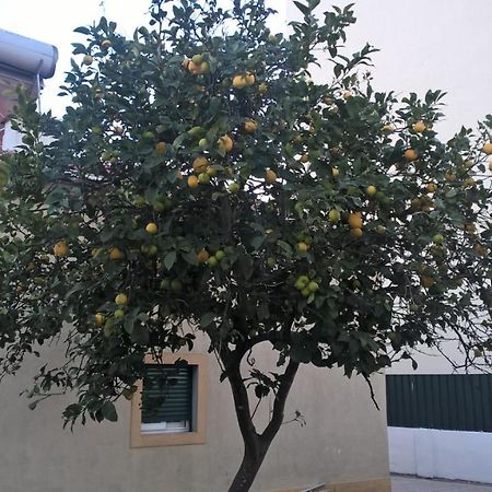 לינה וארוחת בוקר Quinta do Conde Casa Do Limoeiro מראה חיצוני תמונה