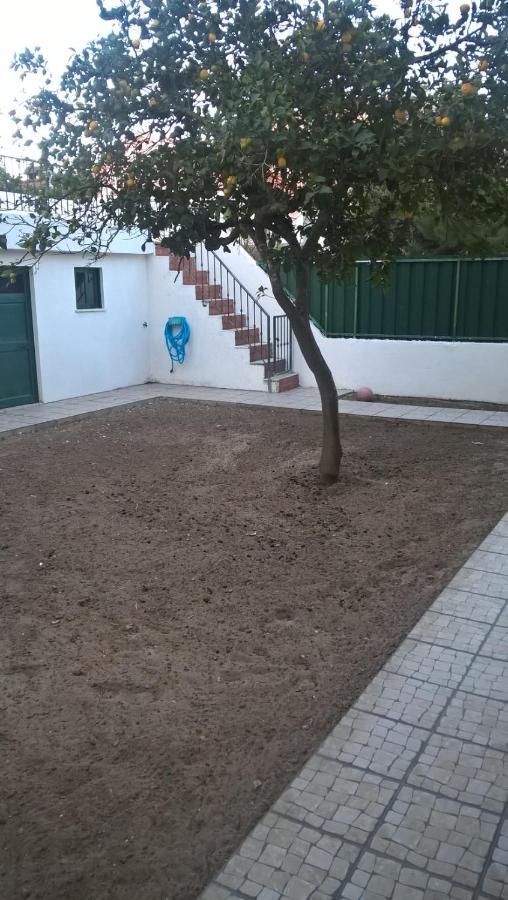 לינה וארוחת בוקר Quinta do Conde Casa Do Limoeiro מראה חיצוני תמונה