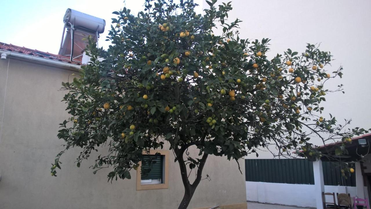לינה וארוחת בוקר Quinta do Conde Casa Do Limoeiro מראה חיצוני תמונה